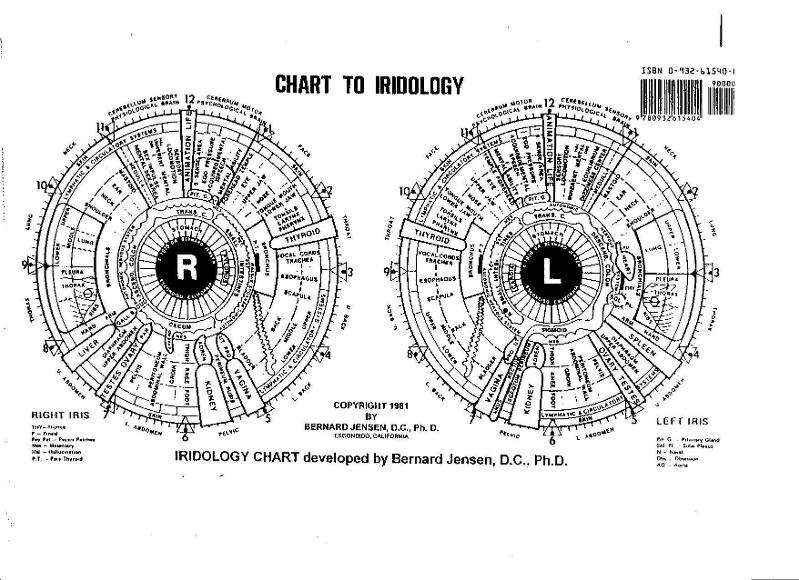 Dr Jensen Iridology Chart